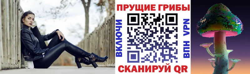 Псилоцибиновые грибы мухоморы  купить  сайты  гидра зеркало  Шарья 